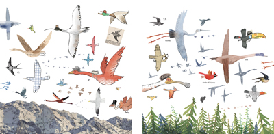 Some birds fly North, some birds fly South, Gus Gordon Illustration, Print for Sale